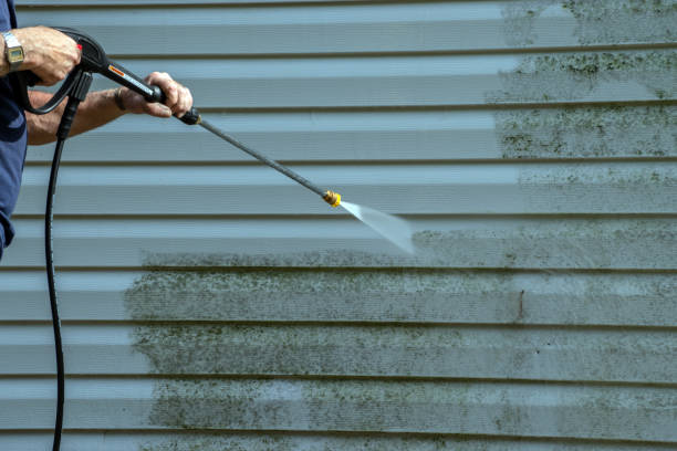 Best Sidewalk and Walkway Cleaning  in Astor, FL